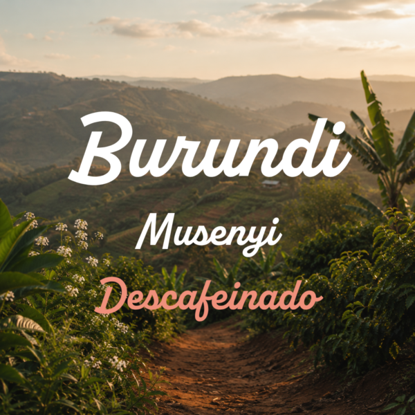 Burundi · Musenyi Descafeinado