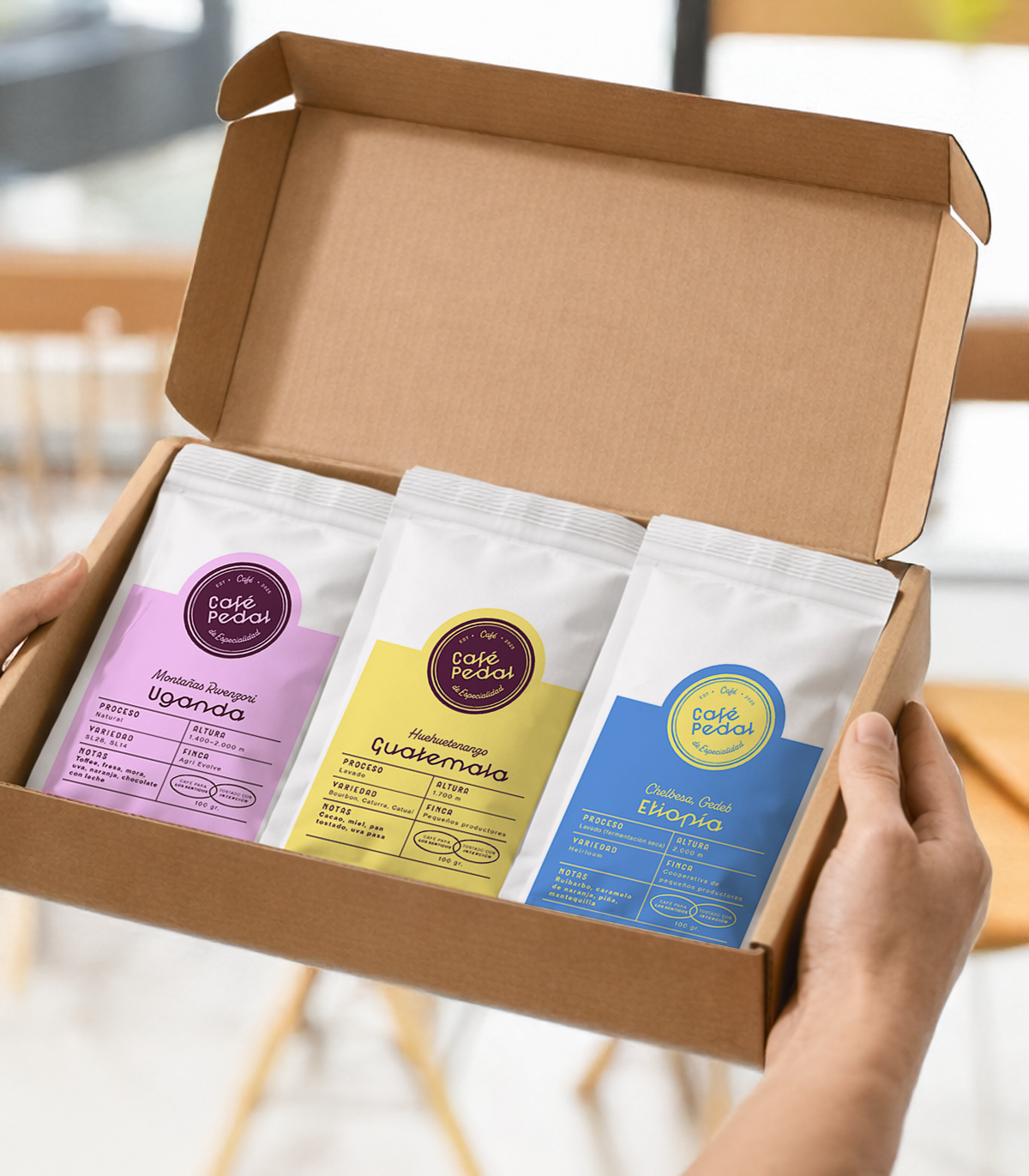 Pack Completo - Imagen 2