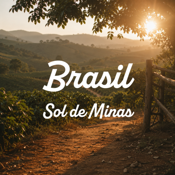 Brasil · Sol de Minas
